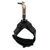 SCOTT RELEASES Solus, Freedom Strap