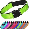 Collar Reflejante para Perro y Gato, Diseño Cómodo, Resistente. Ideal