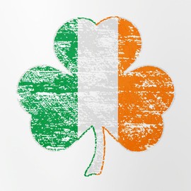 CafePress Vintage Irish Flag Shamrock Pint Glass, 16 oz. Drinking Glass