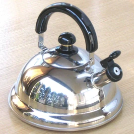 Takei Kisakusho Quick One Energy Saving Whistling Kettle, 0.6 gal (2.5 L) TK-250
