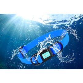 Waterproof Dog Collars,Rubber Dog Collars Anti-Odor,Durable,Adjustable Dog Collars for Small,Medium, Large Dogs,Easy Clean Collars with Double Buckle (Blue, Medium[3/4" x 11.81"-18.5"])