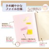 Plus 98-680 Pasty Smart Clear File, A4 Vertical, 20 Pockets,