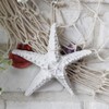 Creative Mediterranean Style Design Beach Starfish Resin Five-Pointed Star in