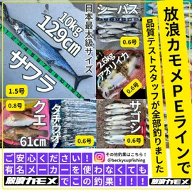 Wandering Seagull PE Line Fishing Line 0.3#300M 5 Colors Multi Color 4 Strands 9lb Ultimate Power for Ajing Mebarn Mebaling Trout Bass Black Bass