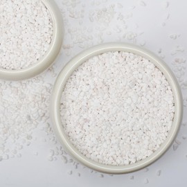 1/5 Inch White Succulent Cactus Gravel, 10 lbs – Ideal for Succulent Plant Pots, Vase Fillers, Glass Containers, Aquariums, Patios, and Outdoor Gardening River Stones (White, 10 Pounds)