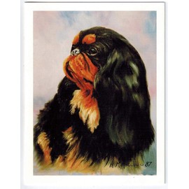 Black English Toy Spaniel Note Card Set - 12 Notecards (ETS-2)