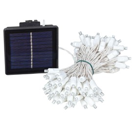Novelty Lights 100 Light Solar LED Christmas Mini Light Set, Pure White, Outdoor String Lights, White Wire, 60 Feet