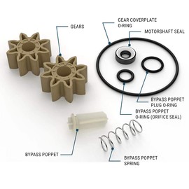 GPI - Complete Overhaul Kit for G8P Portable Fuel Transfer Pump (GPI Genuine Accessory 147500-1)