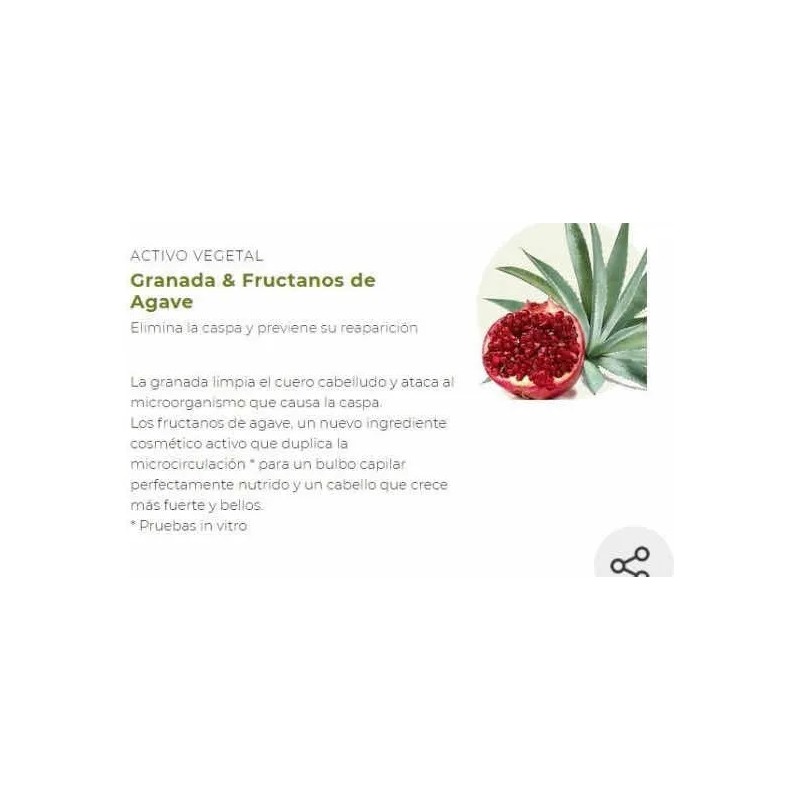 Shampoo Yves Rocher Anticaspa de 300mL de 300g