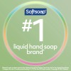 Softsoap Antibacterial Liquid Hand Soap Rosewater Aloe Pack of 6