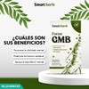 Smart Herb Paquete Focus GMB, Suplemento Alimenticio, 2 piezas (30
