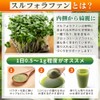 Broccoli Sprout Powder 3.5 oz (100 g)
