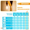 winsaLED 12 Pack 100 Watt Equivalent LED Edison Bulbs, 9W