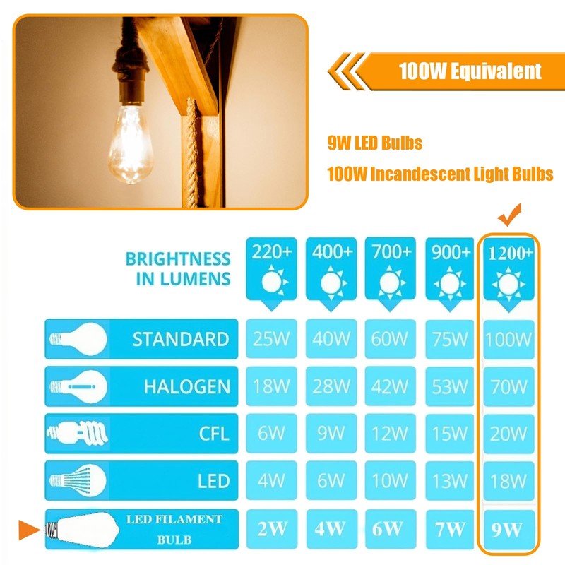 winsaLED 12 Pack 100 Watt Equivalent LED Edison Bulbs, 9W