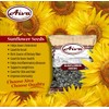 Aiva Sunflower Seed Kernels Raw (No Shell) Hulled 4 LB