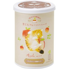 Seishin Pottery GD-102501 Year-Round Home Garden Cultivation Kit, Growing Flavor, Apple Mint, Mini, Easy, Loose Growing, Herbs, Herbs, Cultivation Set, Beige, Mother's Day, Birthday, Gift, Pot