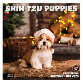 RED EMBER Shih Tzu Puppies 2025 Wall Calendar 12 Month | 12" x 24" Open | Thick & Sturdy Paper | Giftable | Calendar 2025