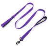 Wagtime Club Soft &Thick Dual Handle 6FT Dog Leash, Premium