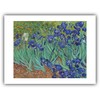 The Ibis - Vincent Van Gogh : ''Irises'' (1889) - Museum-Grade Giclee