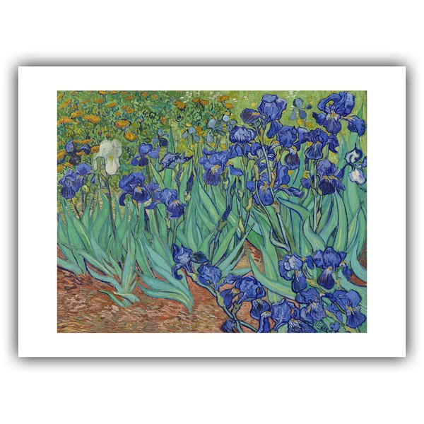 The Ibis - Vincent Van Gogh : ''Irises'' (1889) -