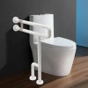 TBvechi Toilet Grab Bars Tub Rail Safety Handrails Handicap for