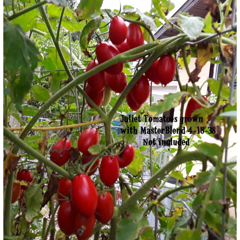 MASTERBLEND ® 4-18-38 Tomato & Vegetable Fertilizer (5 bs) FREE