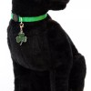 Green Cat Collar Green Shamrock Charm Safety Breakaway Adjustable Neck