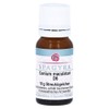 CONIUM Maculatum D 6 Globules 10 g