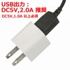 Eagle Racing Li-Fe Balancing Smart Mini Charger with USB 5V2A
