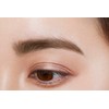 Fujiko SVR 101 Eyebrow Tint SVR 101 Gray Brown 6g