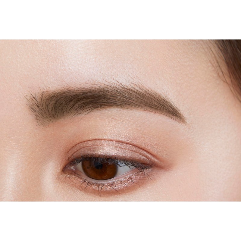 Fujiko SVR 101 Eyebrow Tint SVR 101 Gray Brown 6g