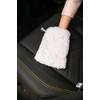 RAYPATH INTERNATIONAL Universal Set Mini Nova Glove for Cleaning Carpets