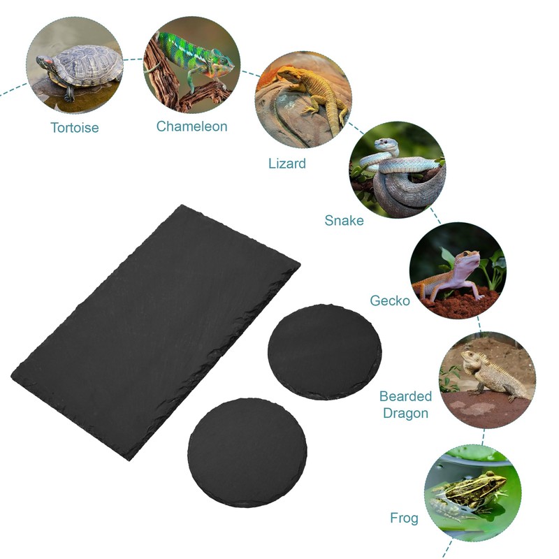 aleawol 3Pack Tortoise Slate Pad, Large Rectangular Reptile Basking Platform