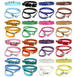 Vibrant Leather Dog Collar & Lead Combo Set for Puppy, Dogs Small, Medium & Large (Small (27cm - 33cm Neck), Bright Gold)