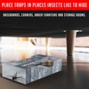Spider Traps for Inside Your Home (16 Traps) - Spider