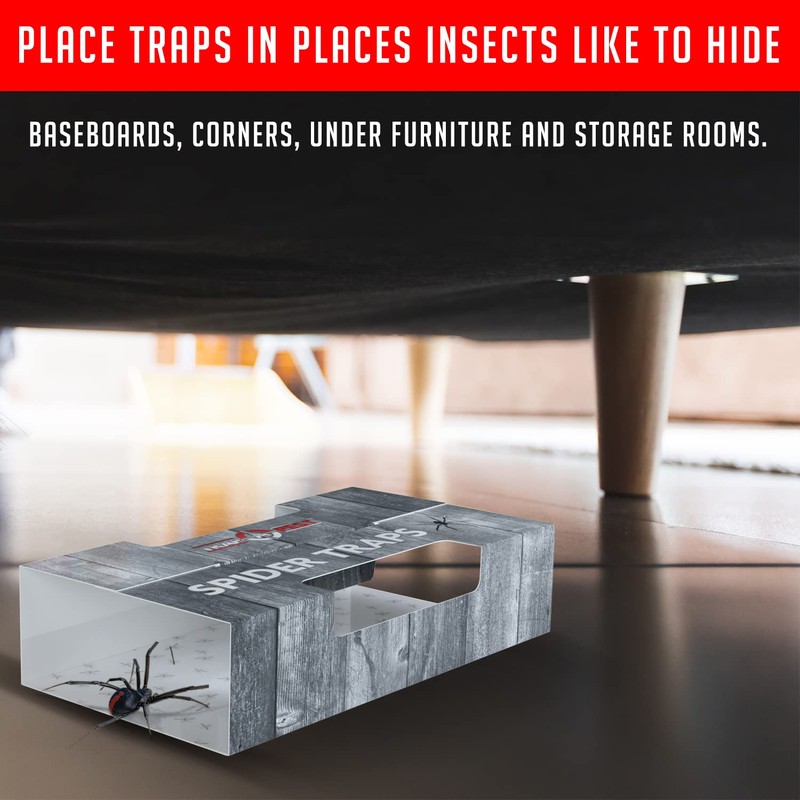 Spider Traps for Inside Your Home (16 Traps) - Spider