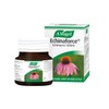 A.Vogel Echinaforce Echinacea Tablets  Relieves Cold & Flu Symptoms by Strengthening the Immune System  120 Tablets