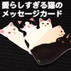 jetoy 2504me398 Greeting Cute Cat Message Card Set of 5