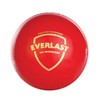 SG Everlast Leather Cricket Ball , Red , Standard Size