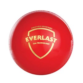 SG Everlast Leather Cricket Ball , Red , Standard Size