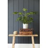 Burgon & Ball Tuscany Ceramic Indoor Planter - Pale Grey,