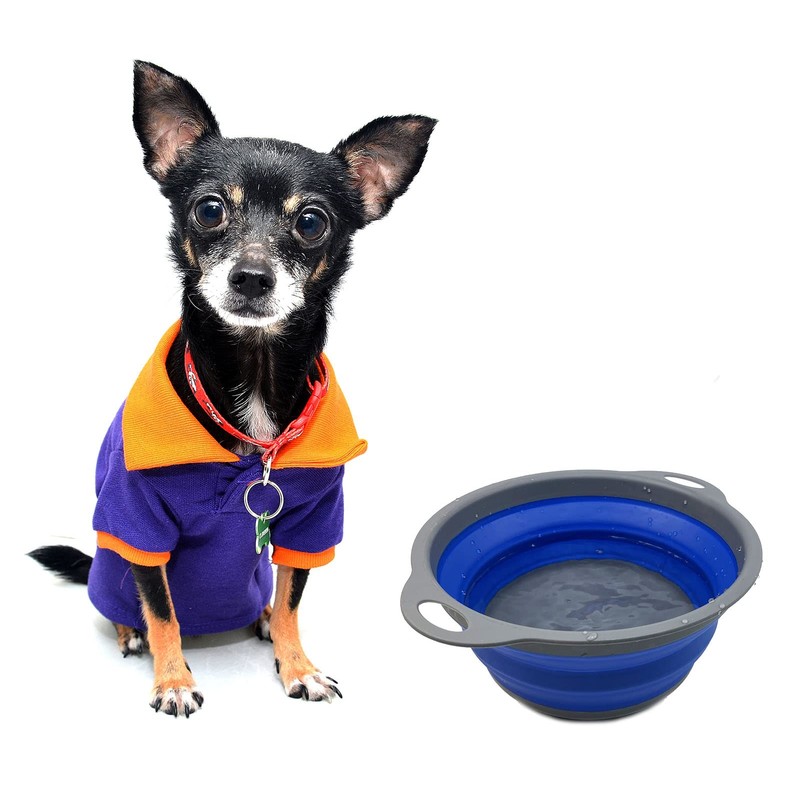SAMMART 2.6L Collapsible Tub - Foldable Dish Tub - Portable