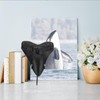 KCGANI Megalodon Shark Tooth Acrylic Base Bracket for 3.5 x