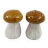 Novelty Glazed Ceramic Wooland Toadstool/Mushroom Cruet Set - Salt and