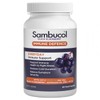 Sambucol Buy Sambucol Immune Defense Everyday 60 Capsules Online