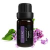 Seven Souls - Lilac Organic Essential Oil