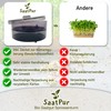 SaatPur® Sprout Box Set 1 with One Tier as Sprouts