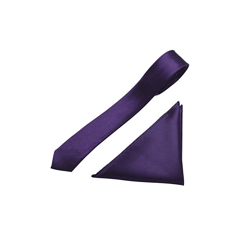 Caprilite Mens Neck Tie and Pocket Square Handkerchief Set Hanky
