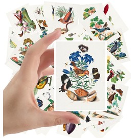 Large Stickers 24 pcs (2.5"x3.5" Each) Birds Butterfly and Flowers Antique Botannical Book Illustration Vintage Postcards Retro Greeting Card Reprint