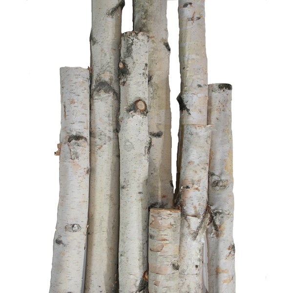 White Birch Pole Pack (X-Large) Set of Birch Poles 1.5-2.5 inch Diameter x 6, 7, and 8 feet Tall